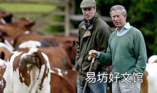 查尔斯为什么放弃王位 查尔斯为什么还是王储