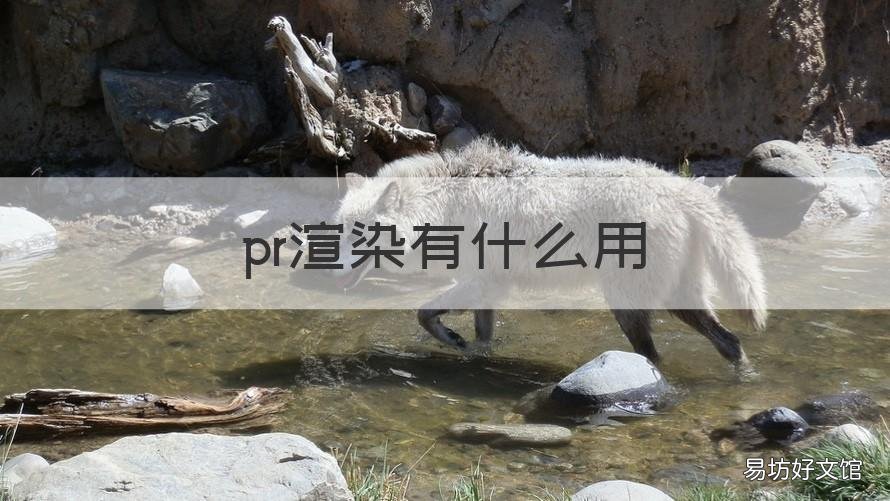pr渲染有什么用 pr渲染有什么用处