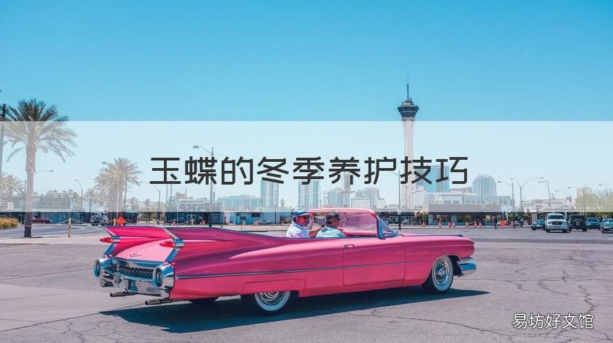 玉蝶的冬季养护技巧 玉蝶的冬季养护技巧和方法