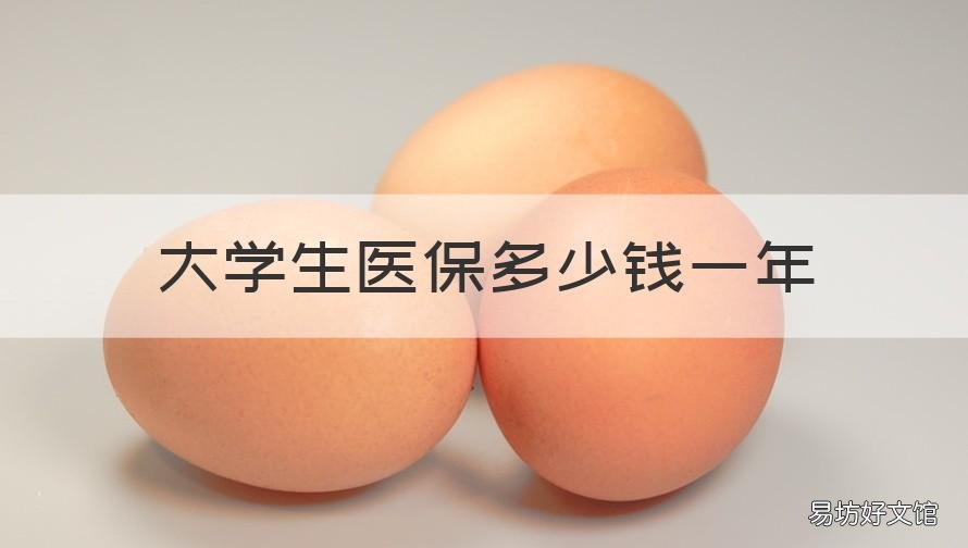 大学生医保多少钱一年 东莞大学生医保多少钱一年