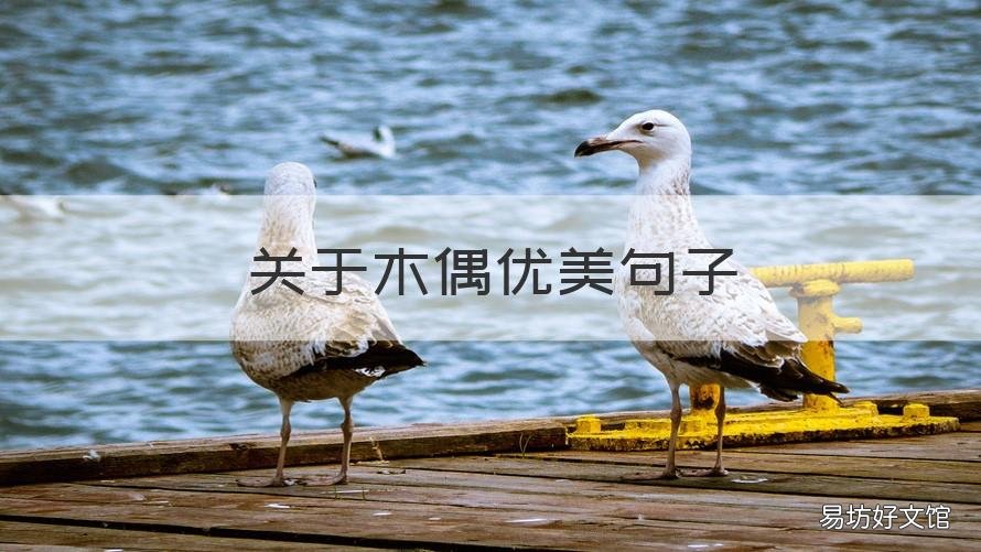 关于木偶优美句子 描写玩木偶的优美句子