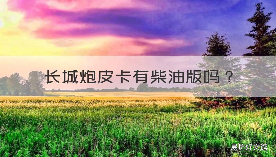 长城炮皮卡有柴油版吗 长城皮卡长城炮柴油版的省油吗