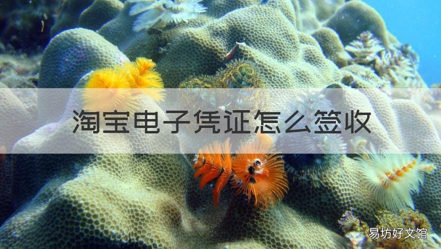 淘宝电子凭证怎么签收 淘宝签收凭证是什么
