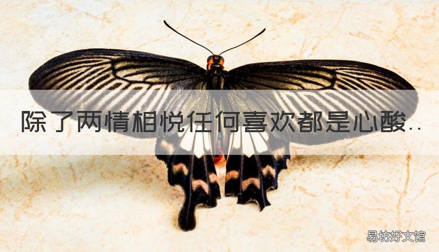 除了两情相悦任何喜欢都是心酸 没有什么两情相悦,有的只是