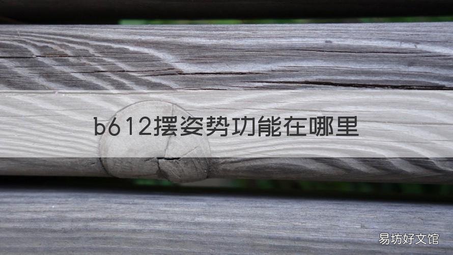 b612摆姿势功能在哪里 b612怎么设置