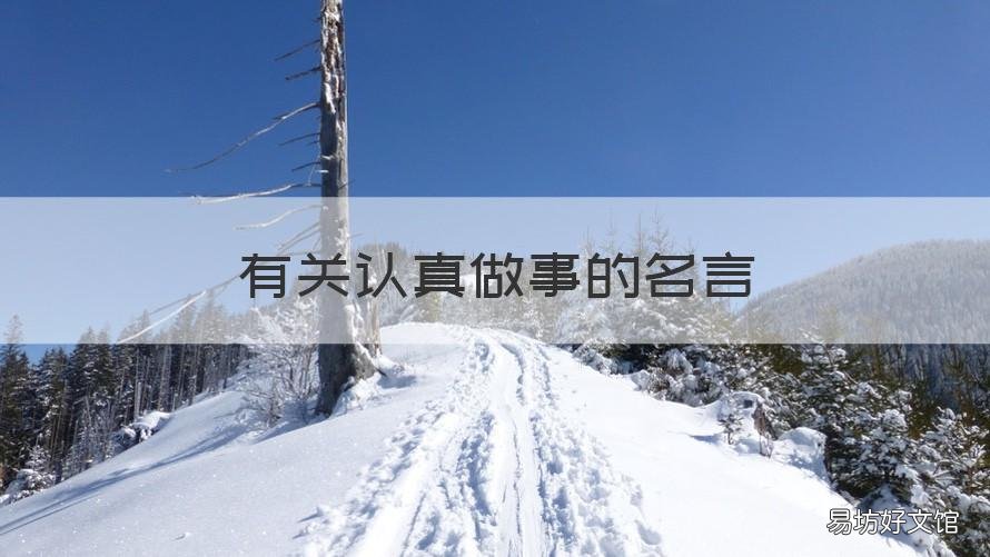 有关认真做事的名言 有关认真做事的名言名句