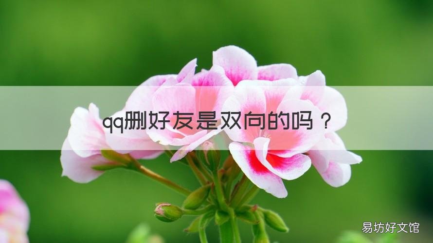 qq删好友是双向的吗 QQ删好友是单向的还是双向的