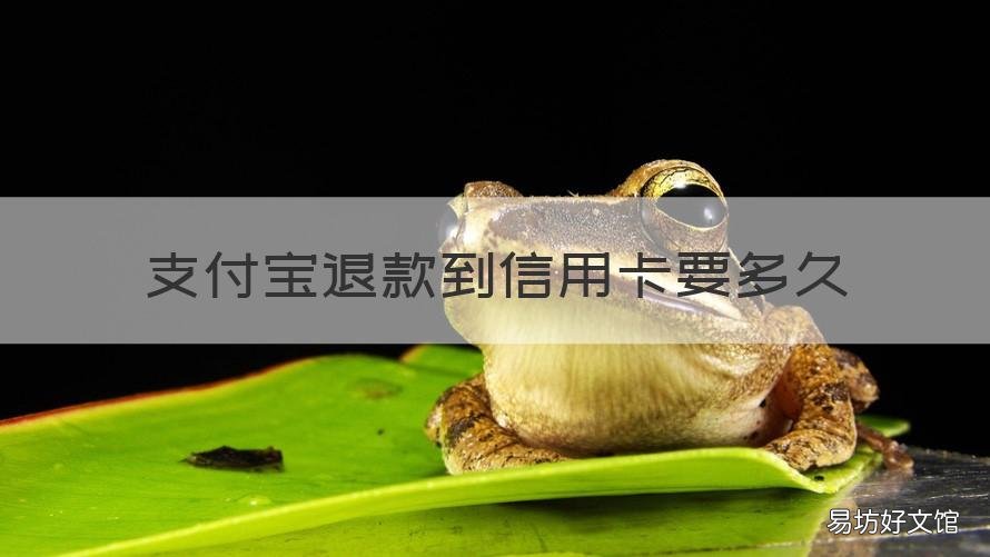 支付宝退款到信用卡要多久 支付宝信用卡手续费退款会退回吗