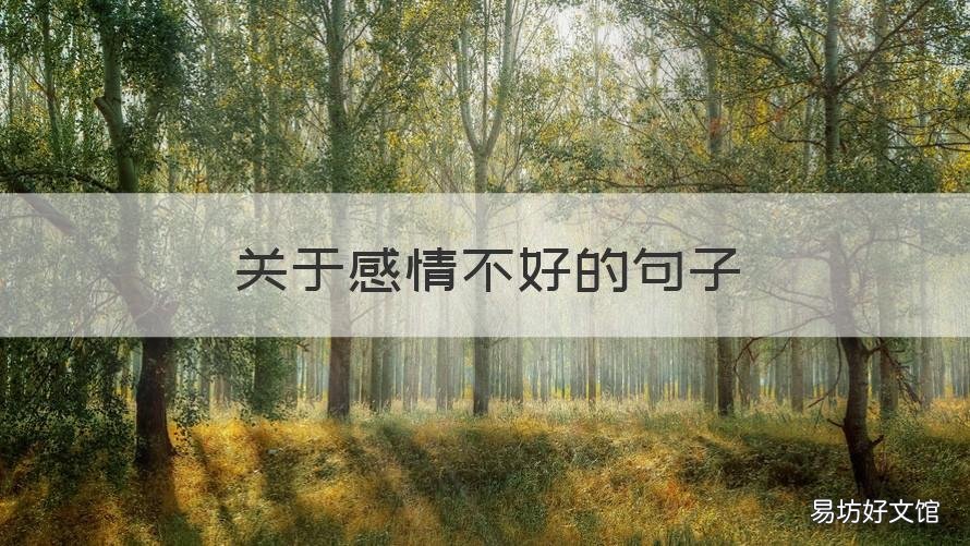 关于感情不好的句子 关于感情不好的句子经典语录
