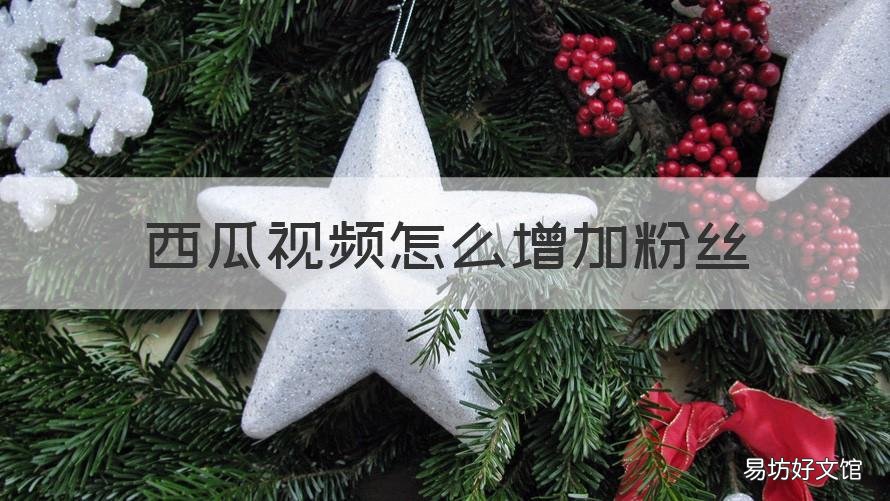 西瓜视频怎么增加粉丝 西瓜视频怎么增加粉丝量