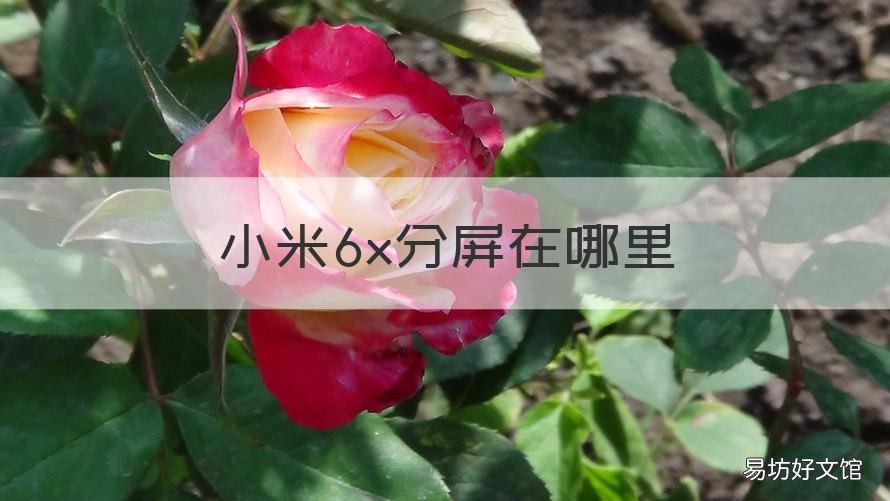 小米6x分屏在哪里 小米6X手机怎么分屏