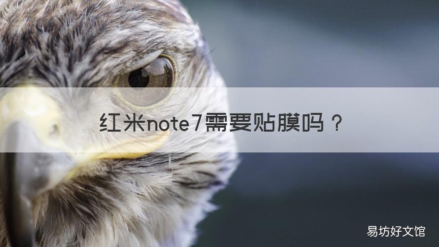 红米note7需要贴膜吗 红米note7用贴膜吗