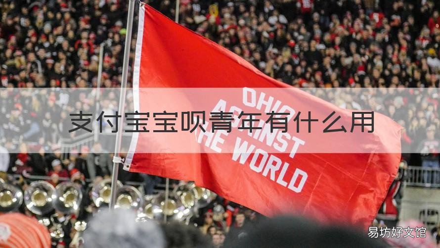 支付宝宝呗青年有什么用 支付宝宝呗青年是啥