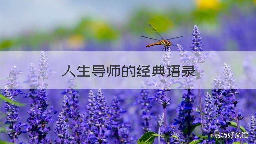 人生导师的经典语录 人生导师的经典语录短句