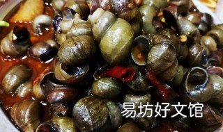 螺丝需要焯水吗 螺丝用焯水吗