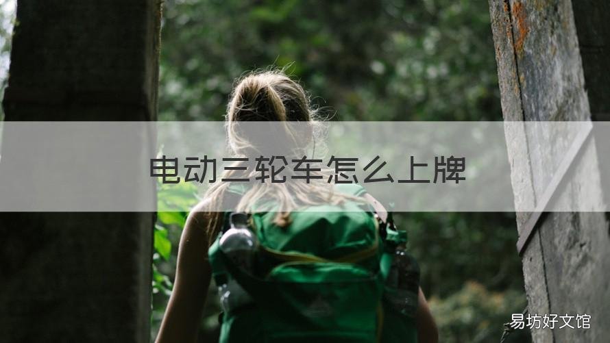 电动三轮车怎么上牌 电动三轮车怎么上牌照北京