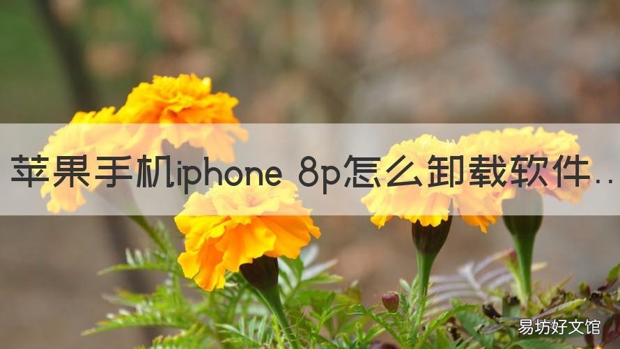 苹果手机iphone 8p怎么卸载软件 iphone8plus怎么卸载软件