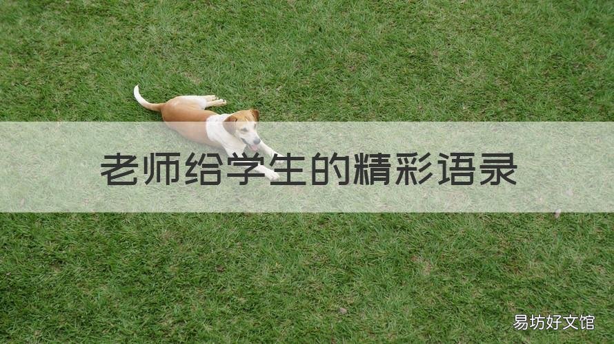 老师给学生的精彩语录 老师赞美学生的话经典语录