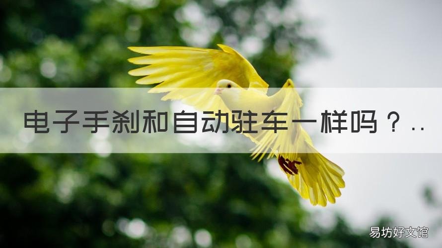 电子手刹和自动驻车一样吗 电子手刹和自动驻车一样吗怎么用