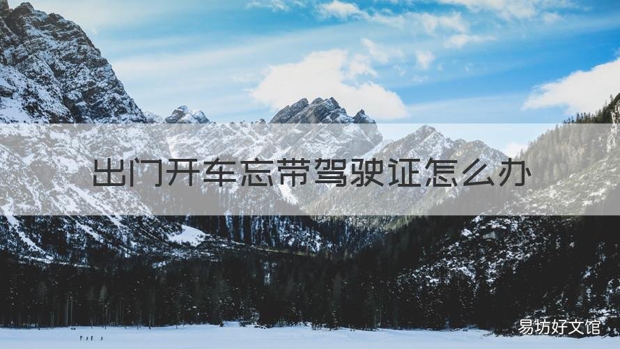 出门开车忘带驾驶证怎么办 开车出门驾驶证忘记带了怎么办