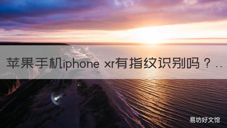 苹果手机iphone xr有指纹识别吗 苹果xr有指纹和面部识别吗