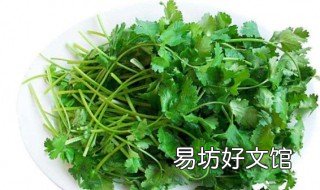 香菜汁的功效 香菜汁的功效作用