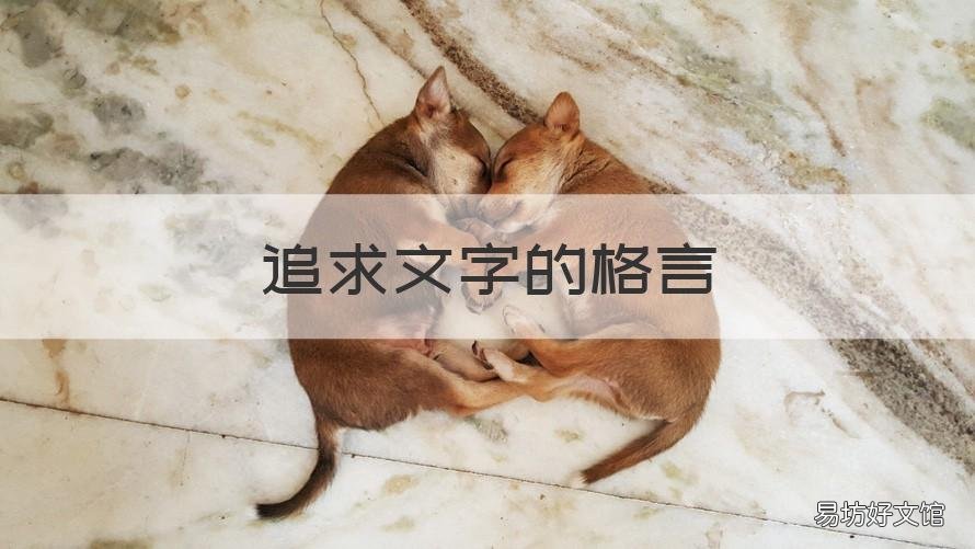 追求文字的格言 追求的句子经典语录