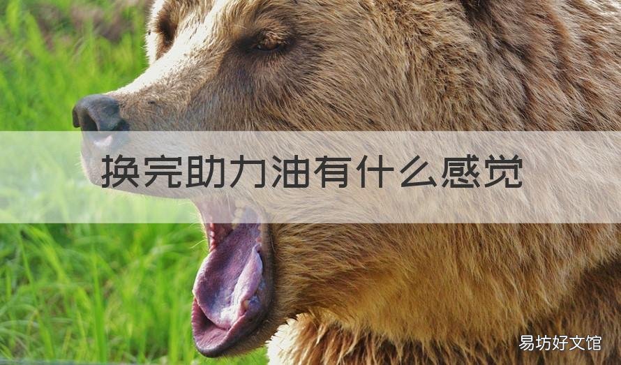 换完助力油有什么感觉 车子助力油没换会怎么样