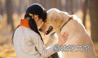 为什么狗可以和人交流 狗真的能和人交流吗