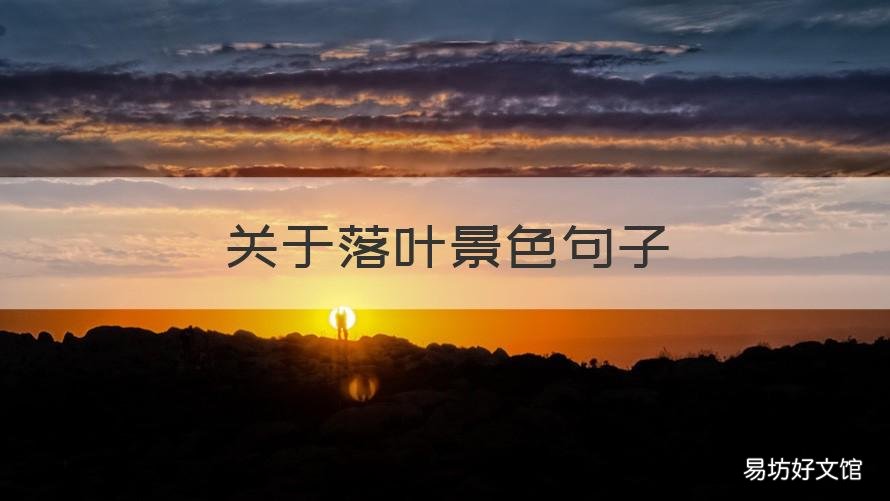 关于落叶景色句子 关于落叶景色句子有哪些
