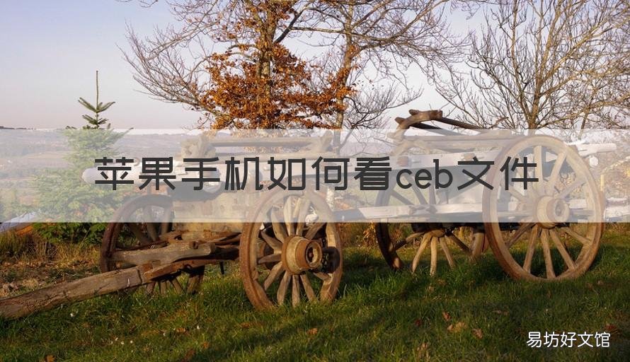 苹果手机如何看ceb文件 苹果手机怎么查看ceb文件