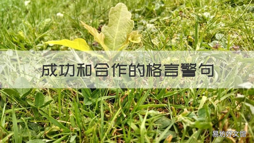 成功和合作的格言警句 合作成功的名言警句