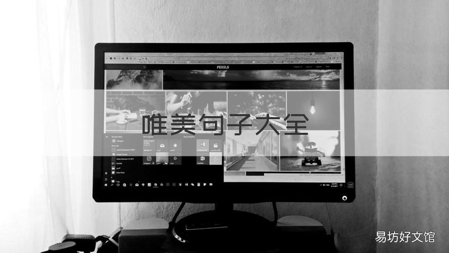 唯美句子大全 有关牡丹花的唯美句子大全