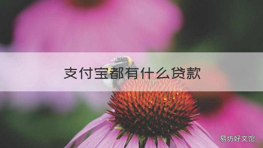 支付宝都有什么贷款 支付宝有什么贷款产品