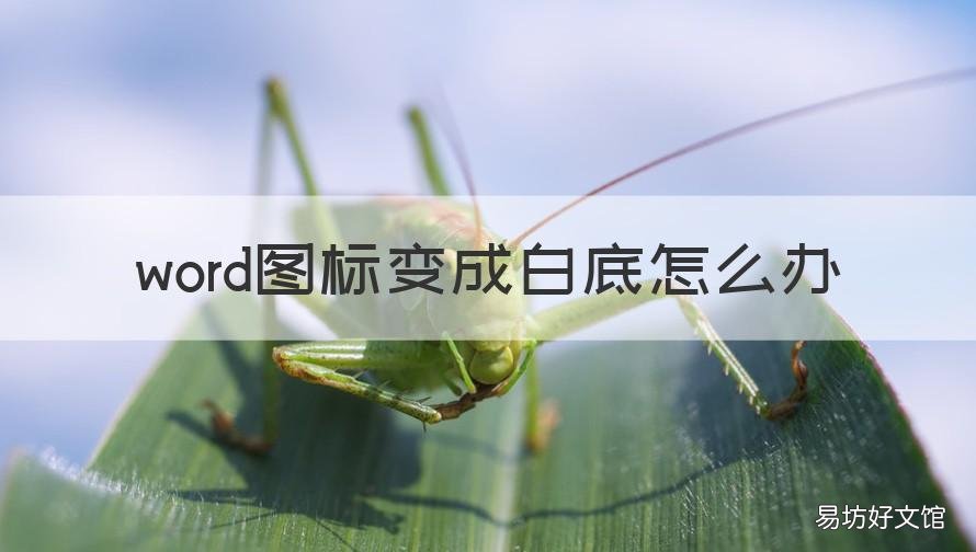 word图标变成白底怎么办 word2010图标变成白底的