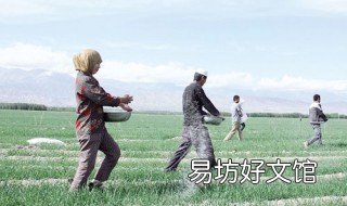 如何理解给作物施肥既不能过多也不能过少? 2、作物施肥应遵循哪些原则?