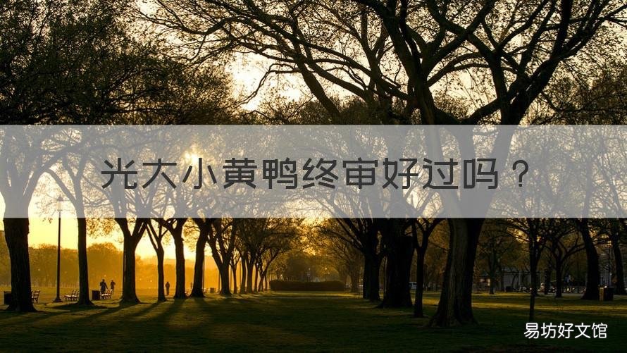 光大小黄鸭终审好过吗 光大小黄鸭好批吗