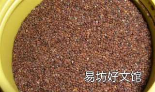 海藻面膜的功效与做法 海藻面膜的功效与做法和用量