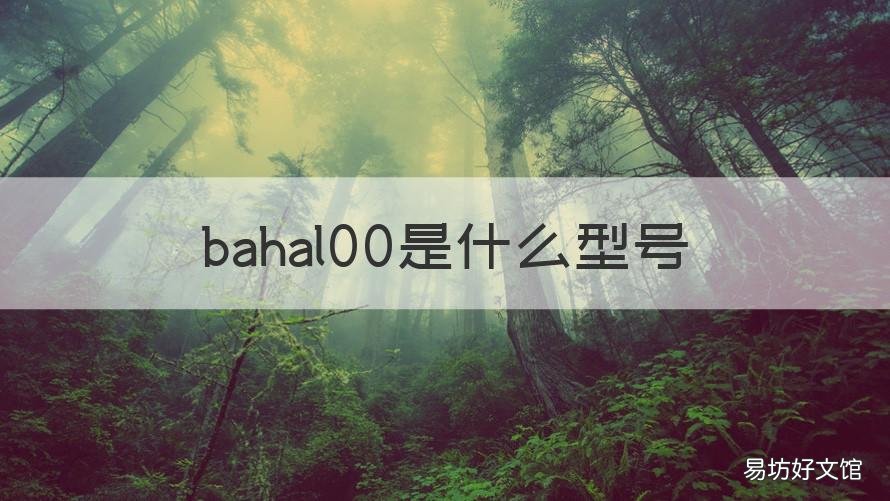 bahal00是什么型号 bah-al00是什么型号