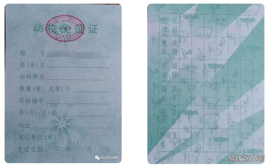 邢台养狗去哪里办狗证? 河北养狗需要办狗证吗