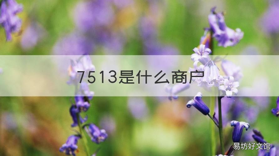 7513是什么商户 7542是什么商户