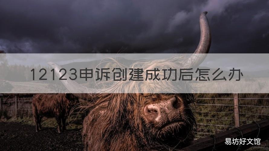 12123申诉创建成功后怎么办 12123申诉不成功怎么办