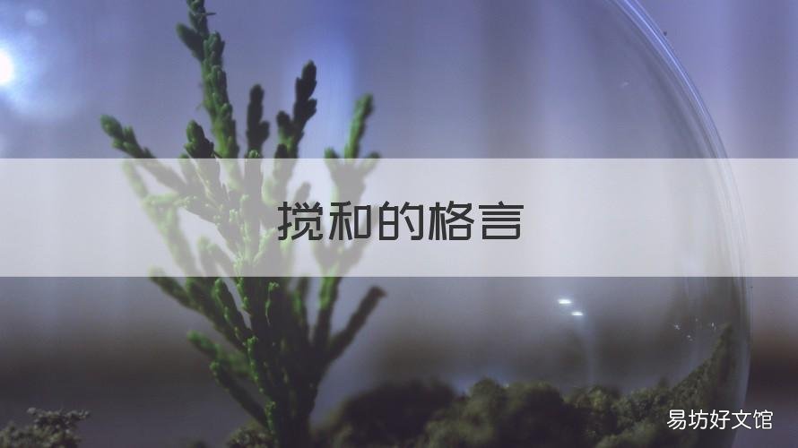 搅和的格言 搅和怎么造句子