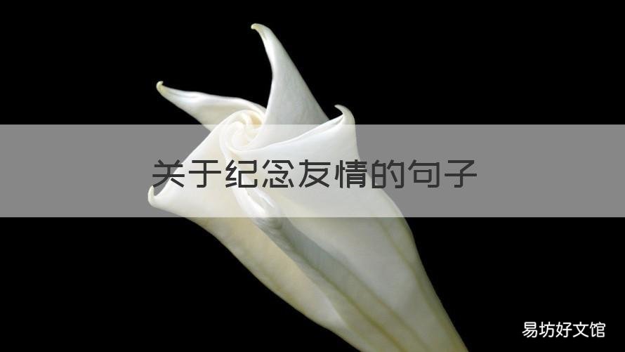 关于纪念友情的句子 关于怀念友情的句子