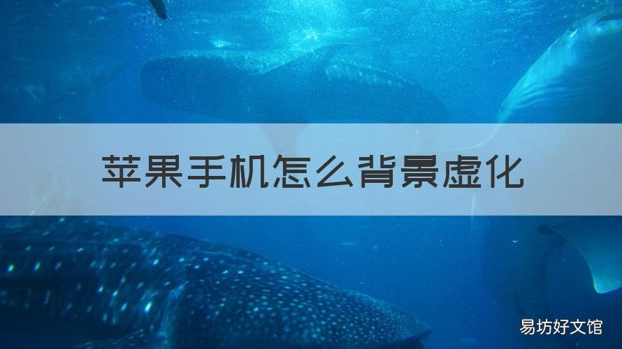 苹果手机怎么背景虚化 苹果手机背景虚化的照片怎么拍