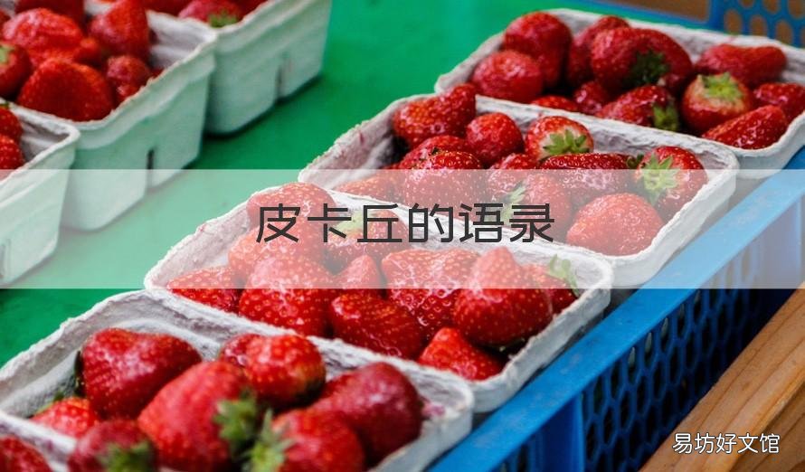 皮卡丘的语录 皮卡丘语录 日语
