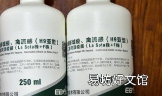 鸽子做新城疫苗后注意事项 鸽子新城疫苗怎么用合适