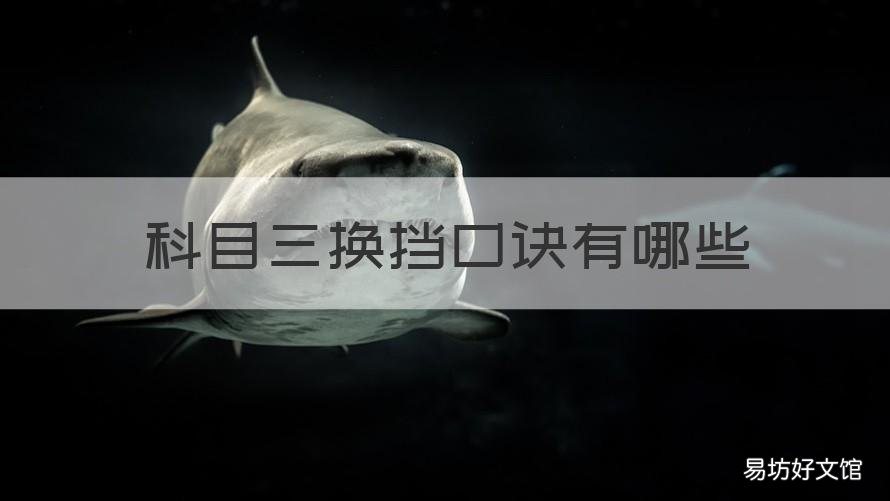 科目三换挡口诀有哪些 科目三换挡手法图解