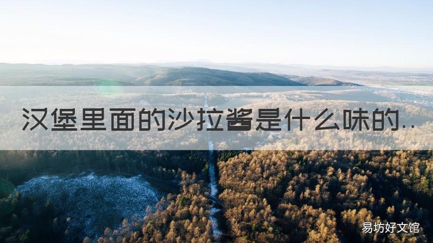 汉堡里面的沙拉酱是什么味的 汉堡里夹的沙拉酱是什么味的?