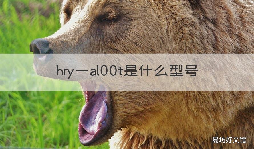 hry一al00t是什么型号